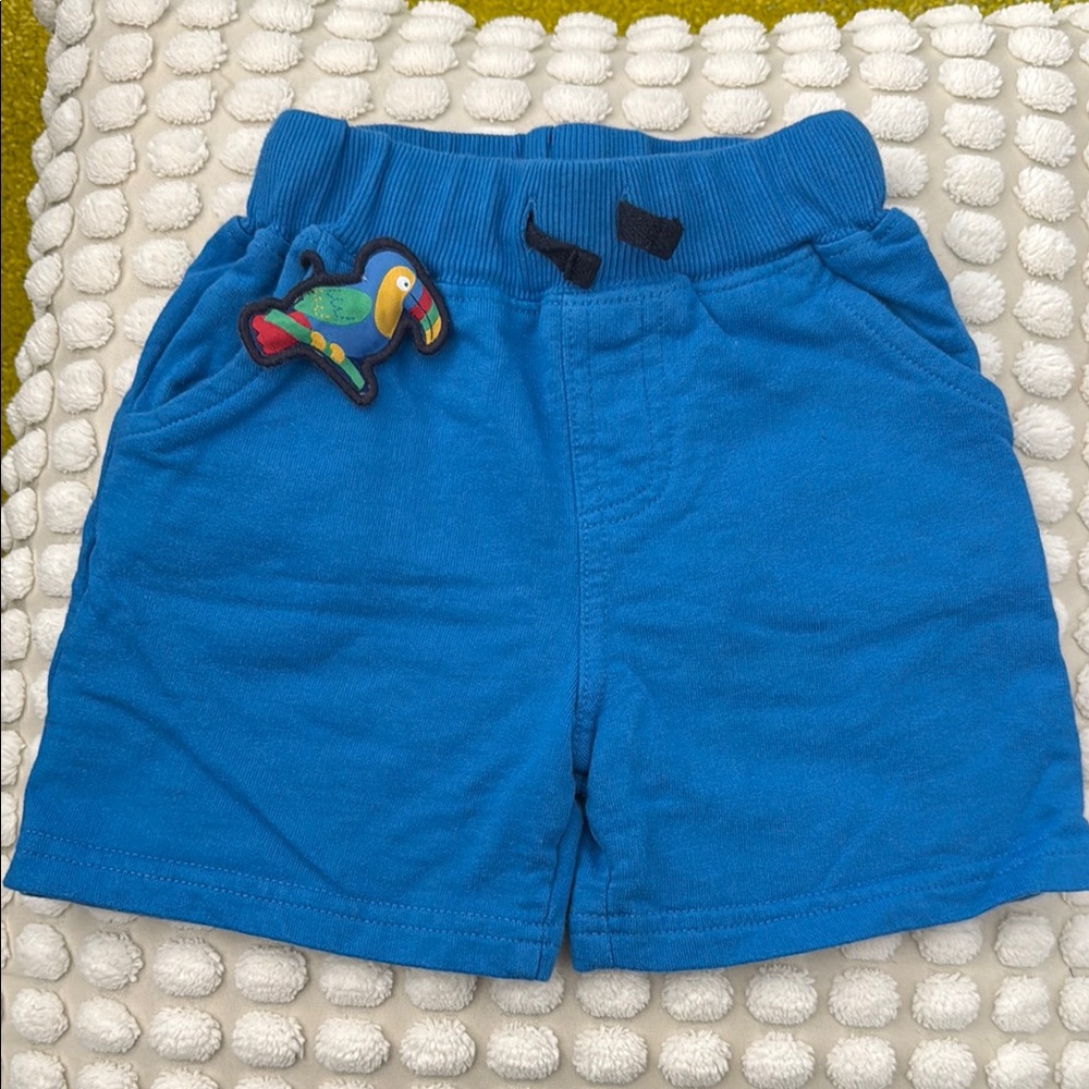 Blue Kids Shorts with Parrot Patch